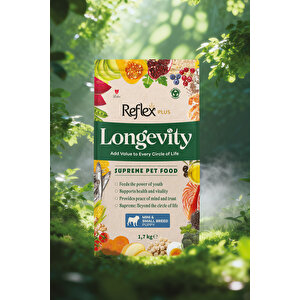 Plus Longevity Mini Ve Küçük Irk Yavru Köpek Maması 1700g
