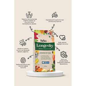 Plus Longevity Mini Ve Küçük Irk Yavru Köpek Maması 1700g