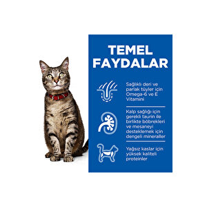 Scıence Plan Adult Lamb Kuzulu Yetişkin Kedi Maması 1,5 Kg