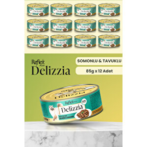 Plus Delizzia / Sos İçinde Parça Etli Somonlu & Tavuklu Yetişkin Kedi Maması 85g X 12 Adet