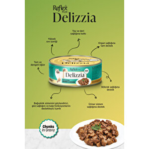Plus Delizzia / Sos İçinde Parça Etli Somonlu & Tavuklu Yetişkin Kedi Maması 85g X 12 Adet