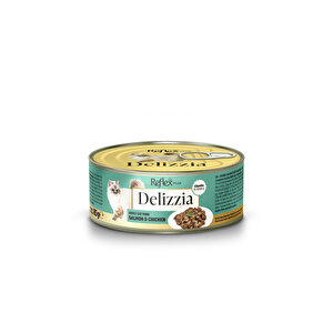 Plus Delizzia / Sos İçinde Parça Etli Somonlu & Tavuklu Yetişkin Kedi Maması 85g X 12 Adet