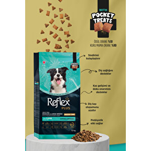 Plus Pocket Treats İlaveli Orta Ve Büyük Irk Kuzu Etli Yetişkin Köpek Maması 12 Kg