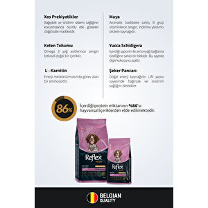 Plus Hipoalerjenik High Energy Dana Etli Yetişkin Köpek Maması 12 Kg