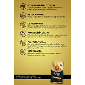 Plus Poodle Yavru Köpek Maması 8 Kg