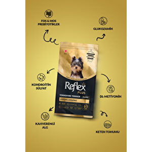 Plus Yorkshire Terrier Hipoalerjenik Yavru Köpek Maması 1,5 Kg