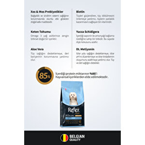 Plus Hipoalerjenik Mini Ve Küçük Irklar Için Somonlu Yetişkin Köpek Maması 3 Kg