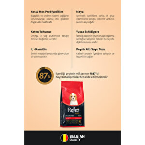 Plus Hipoalerjenik Mini Ve Küçük Irklar Için Kuzu Etli Yavru Köpek Maması 3 Kg