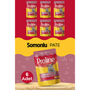 Pouch Somonlu Yaş Kedi Mama 6 X 85 Gr
