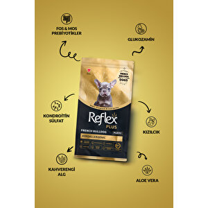 Plus French Bulldog Hipoalerjenik Yavru Köpek Maması 1,5 Kg
