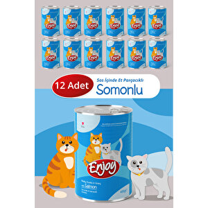 Somonlu Kedi Konservesi Sos İçinde Et Parçacıklı 400 Gr X12