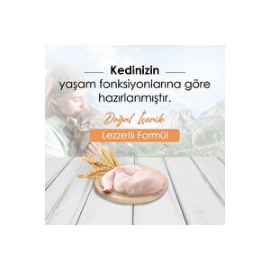 Tavuklu Yetişkin Kedi Maması 10 Kg