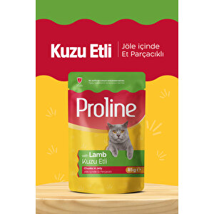Pouch Kuzu Etli Yaş Kedi Mama 22 X 85 Gr