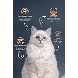 Kısırlaştırılmış / Sterilised Somonlu Kedi Maması 10 Kg