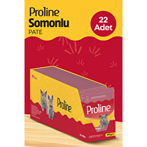 Pouch Somonlu Yaş Kedi Mama 22 X 85 Gr