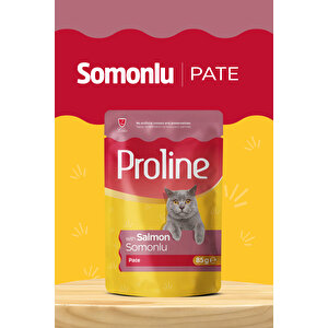 Pouch Somonlu Yaş Kedi Mama 22 X 85 Gr