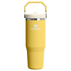 The Iceflow Flip Straw 0.89 Litre Pipetli Termos Daffodil