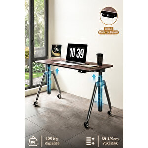 O-flex Oak Yükseklik Ayarlı Çalışma Masası