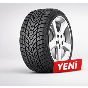 Carmile Winter 225/45 R17 94v Reinf. Kış Lastiği - 2026