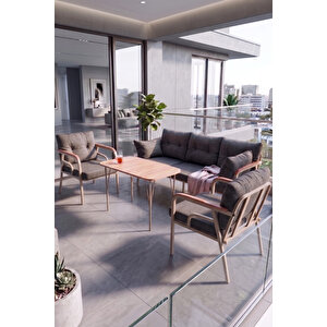 Ekon Serisi 1. Sınf 3+1+1 Ve 1 Adet Orta Sehpa 2 Yastıklı Cappucino İskeletli Bahçe Balkon Oturma Koltuk Takımı