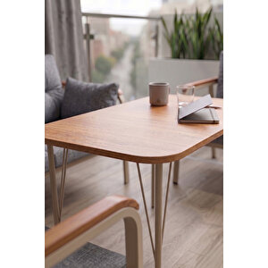 Ekon Serisi 1. Sınf 2+1+1 Ve 1 Adet Orta Sehpa 2 Yastıklı Cappucino İskeletli Bahçe Balkon Oturma Koltuk Takımı