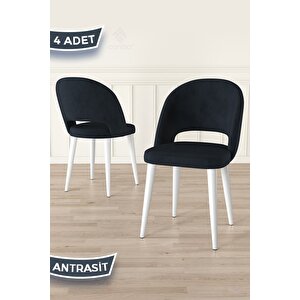 Pane Serisi 4 Adet 1. Sınıf Babyface Kumaş Beyaz Metal Ayak Antrasit Mutfak Sandalyesi