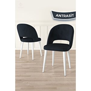 Pane Serisi 4 Adet 1. Sınıf Babyface Kumaş Beyaz Metal Ayak Antrasit Mutfak Sandalyesi
