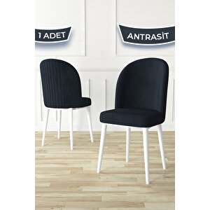 Aste Serisi 1 Adet Antrasit Mutfak Sandalyesi Metal Beyaz Iskeletli 1. Sınıf Babyface Kumaş