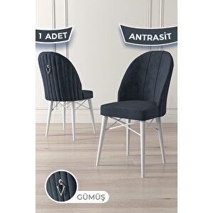Ritim Serisi 1 Adet Antrasit Sandalye 1.sınıf Babyface Ithal Kumaş Beyaz Gürgen Ayak Gümüş Halkalı