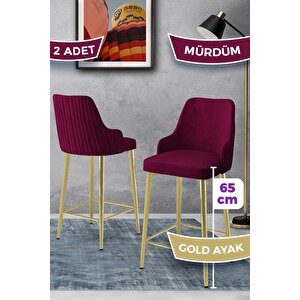 Tera Serisi 2 Adet Babyface Kumaş 65 Cm Gold Kaplama Ayaklı Mürdüm Bar Sandalyesi