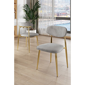 Olya Serisi 90x168 Mdf Sabit Lak Panel Hazar Masa Takımı Gold Ayaklı 4 Gri Sandalye