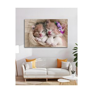 Kedi Sevimli Hayvanlar Ev Kedisi Cam Tablo Modern Ev Ofis Salon Duvar Oda Dekoru Hediyelik | Hayvan Figürlü Dekoratif Duvar Tablosu, Salon, Ofis Ve Çalışma Alanı Dekoru, 46x72 cm
