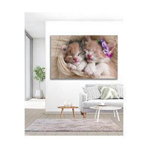 Kedi Sevimli Hayvanlar Ev Kedisi Cam Tablo Modern Ev Ofis Salon Duvar Oda Dekoru Hediyelik | Hayvan Figürlü Dekoratif Duvar Tablosu, Salon, Ofis Ve Çalışma Alanı Dekoru, 46x72 cm