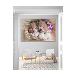 Kedi Sevimli Hayvanlar Ev Kedisi Cam Tablo Modern Ev Ofis Salon Duvar Oda Dekoru Hediyelik | Hayvan Figürlü Dekoratif Duvar Tablosu, Salon, Ofis Ve Çalışma Alanı Dekoru, 46x72 cm