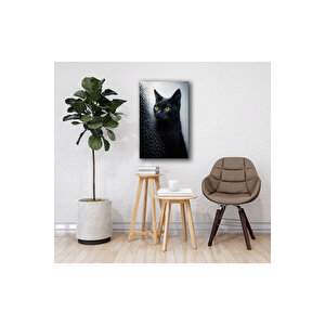 Siyah Kedi Cam Tablo – Gizemli Bakışlar Ve Modern Doku | Hayvan Figürlü Dekoratif Duvar Tablosu, Salon, Ofis Ve Çalışma Alanı Dekoru, 110x70 cm