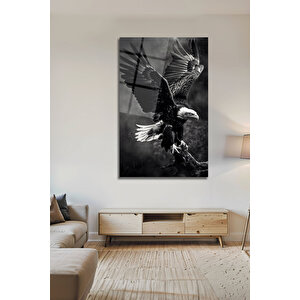 Temperli Cam Tablo Kartal Kanat Açan Siyah Beyaz Lüks Dekoratif Ofis Ev Dekoru | Modern Dekorasyon Temalı Dekoratif Duvar Tablosu, Salon, Ev Ve Ofis Dekoru, 72x46 Cm 72x46 cm
