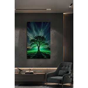 Gece Ve Doğa Temalı Estetik Ağaç Görselli Cam Tablo Dekoratif Duvar Sanatı | Doğa Ve Manzara Temalı Dekoratif Duvar Tablosu, Salon, Yatak Odası Ve Ofis Dekoru, 72x46 cm