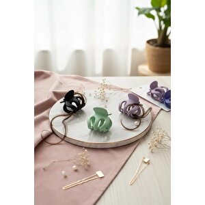 Lisanslı Basic Saç Tokası 2’li Set – Günlük Şık Tasarım 14,5 Cm