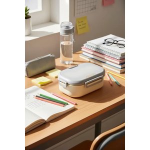 Lisanslı Oval Tek Katmanlı Yemek Kabı Gri 920 Ml – Çatal Bıçaklı 20,3 Cm