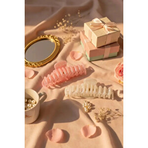 Lisanslı Çiçek Figürlü 4'lü Kıskaç Toka Seti Pastel Renkler