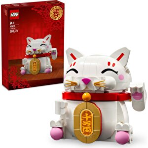 40813  Şanslı Kedi