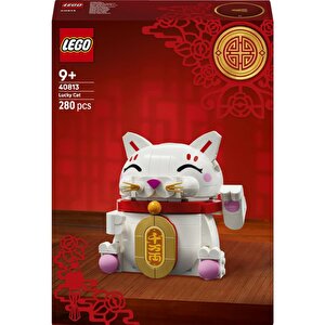 40813  Şanslı Kedi