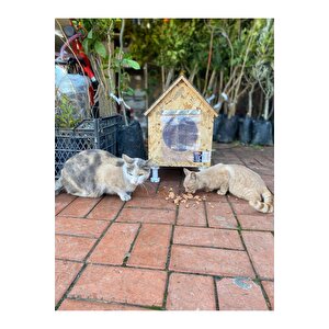 Narım Kedi Evi, Yerden Yüksek Kedi Yuvası, Su Ve Isı Yalıtımı İç Ve Dış Mekan Kedi Barınağı 33x38x40cm - Monteli Teslimat
