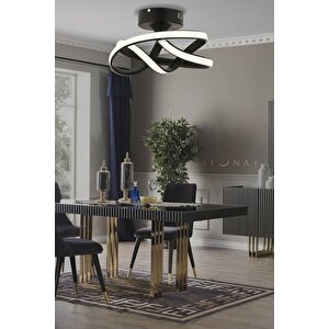 Vino Riserva Model Siyah Renk Metal Salon Mutfak Oturma Yatak Odası Modern Led Plafonyer Avize Siyah