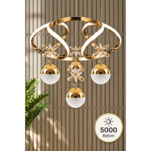 Lizbon Model Salon Yatak Yemek Odası Mutfak Modern 5000 Kelvin Ledli Avize Gold
