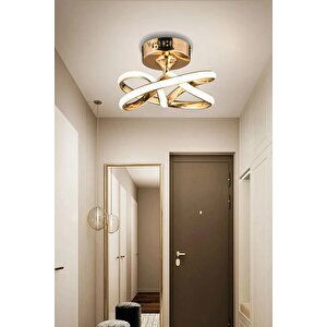 Vino Riserva Model Gold Kaplama Metal Salon Mutfak Oturma Yatak Odası Modern Led Plafonyer Avize Gold