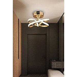 Vino Riserva Model Gold Kaplama Metal Salon Mutfak Oturma Yatak Odası Modern Led Plafonyer Avize Gold