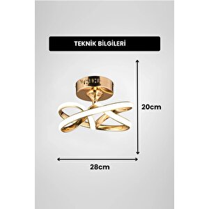 Vino Riserva Model Gold Kaplama Metal Salon Mutfak Oturma Yatak Odası Modern Led Plafonyer Avize Gold
