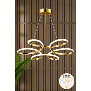 Marina Model Gold 3 Renk Mutfak Hol Antre Salon Oturma Yatak Odası Modern Metal Led Avize Gold