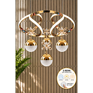 Napoli Model 3 Renk Salon Yatak Yemek Odası Mutfak Modern Ledli Avize Gold